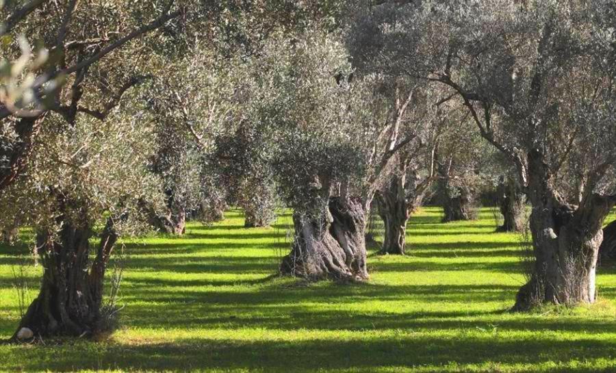 Filoxenia House Marousi -private Parking- Apartment